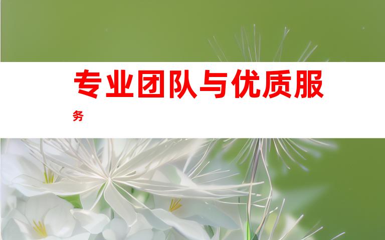 专业团队与优质服务