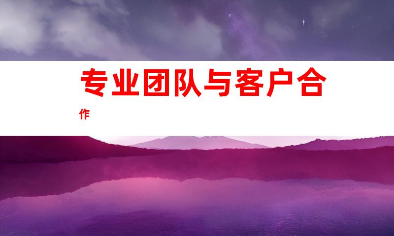 专业团队与客户合作