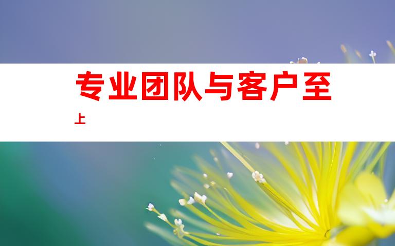 专业团队与客户至上