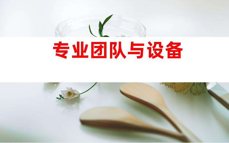 专业团队与设备