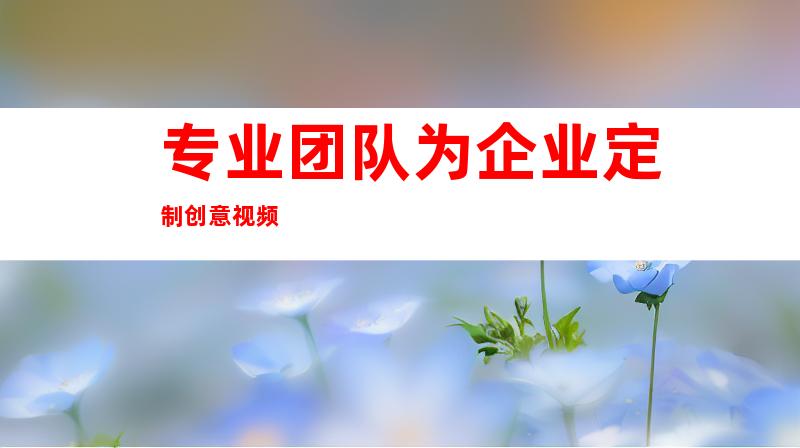 专业团队为企业定制创意视频