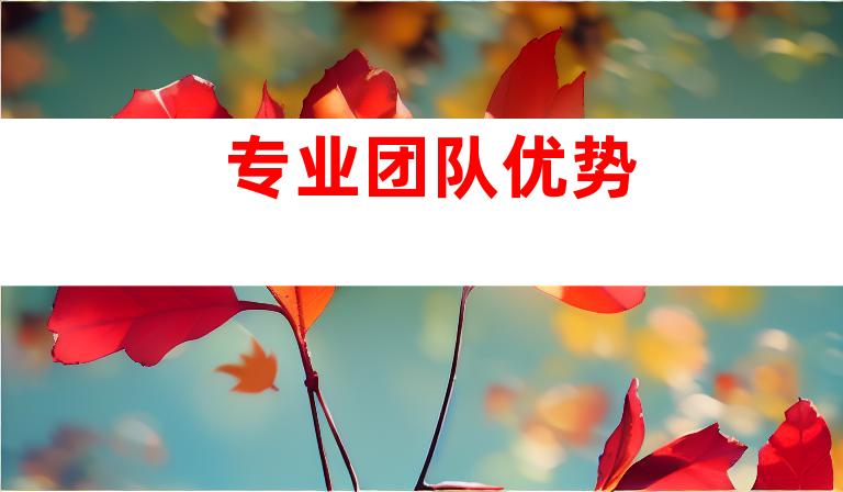 专业团队优势