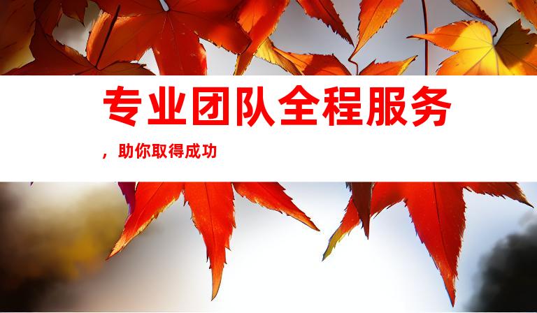 专业团队全程服务，助你取得成功