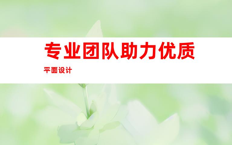 专业团队助力优质平面设计