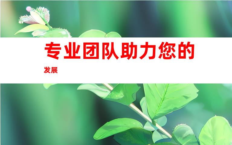 专业团队助力您的发展