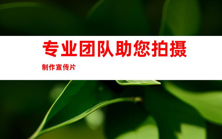 专业团队助您拍摄制作宣传片