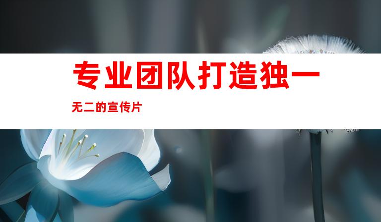 专业团队打造独一无二的宣传片