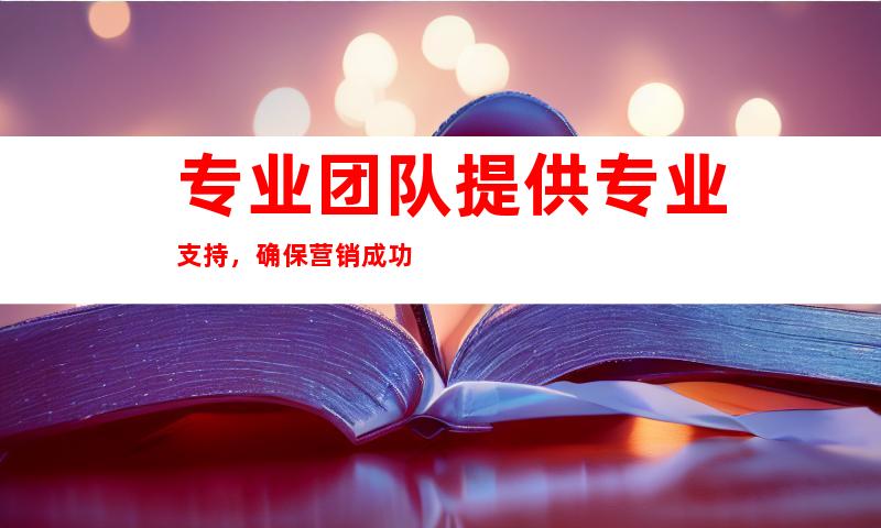 专业团队提供专业支持，确保营销成功