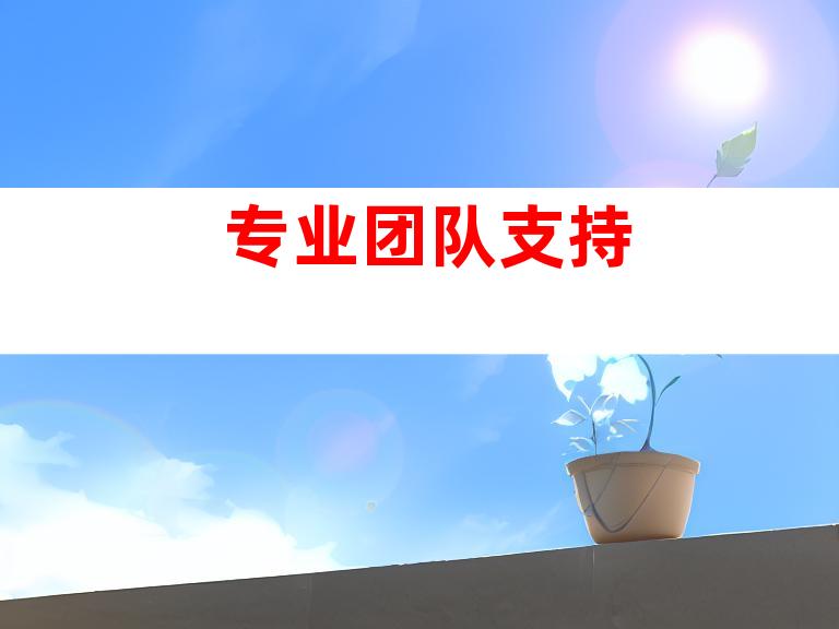 专业团队支持