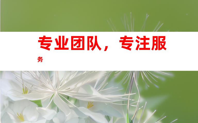 专业团队，专注服务