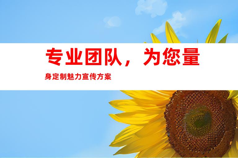 专业团队，为您量身定制魅力宣传方案