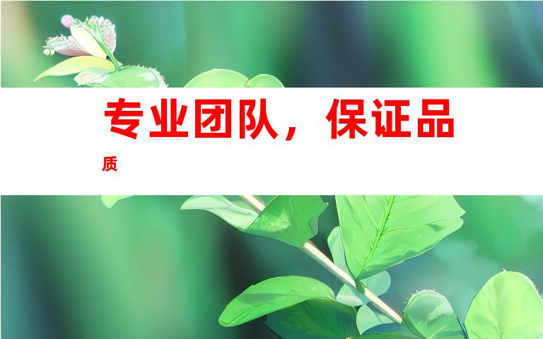 专业团队，保证品质