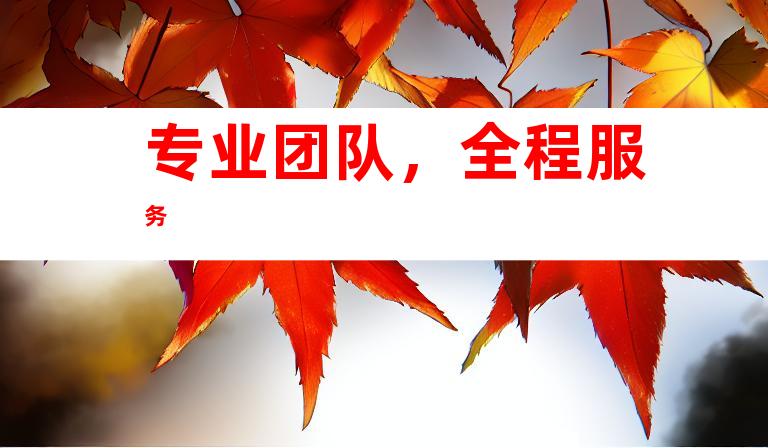 专业团队，全程服务