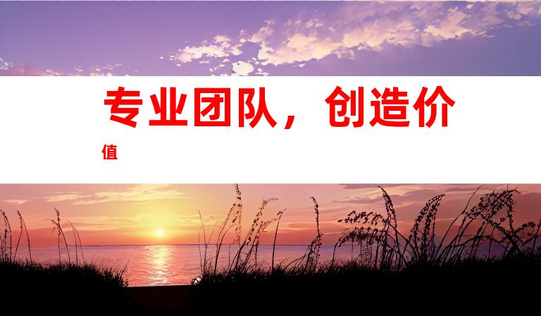 专业团队，创造价值