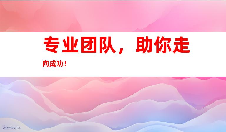 专业团队，助你走向成功！