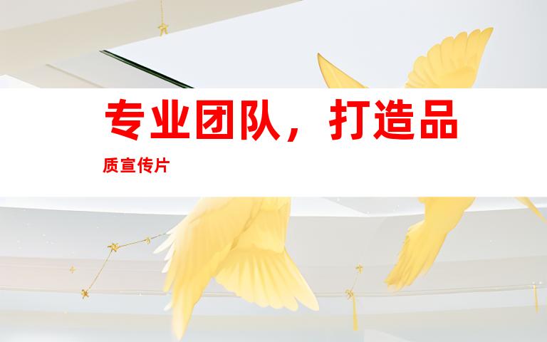 专业团队，打造品质宣传片