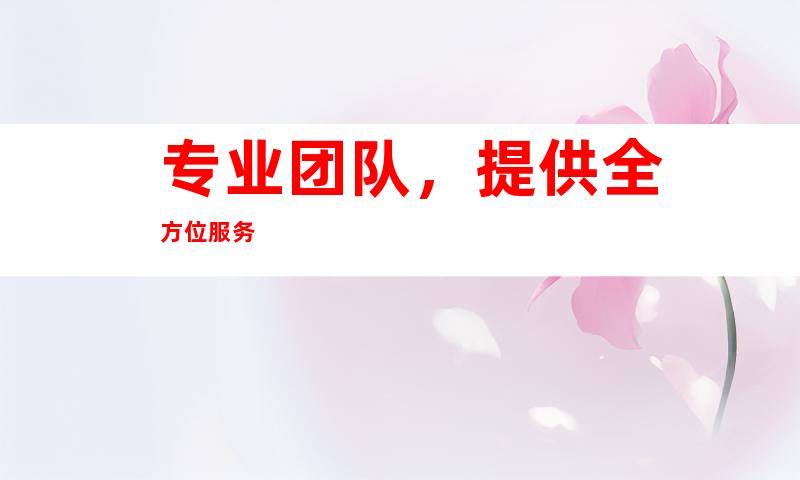 专业团队，提供全方位服务