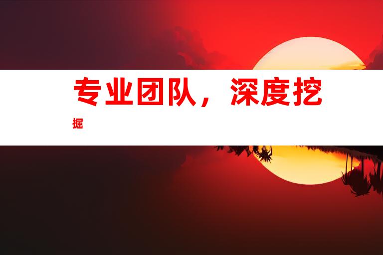 专业团队，深度挖掘