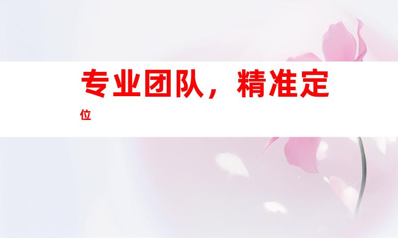 专业团队，精准定位