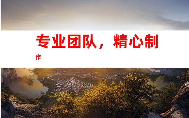 专业团队，精心制作