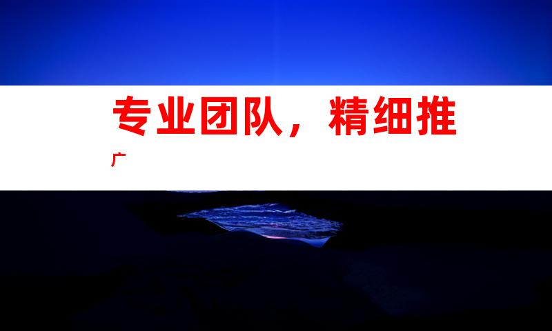 专业团队，精细推广
