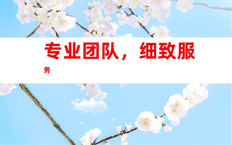 专业团队，细致服务