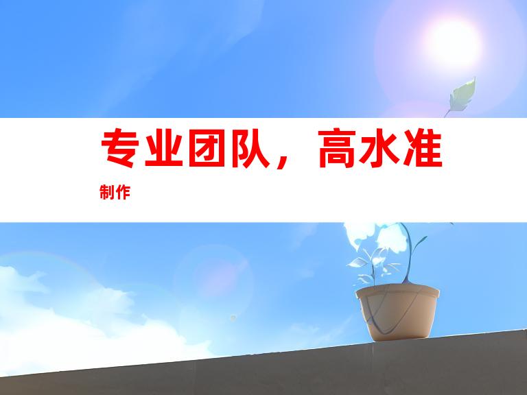专业团队，高水准制作
