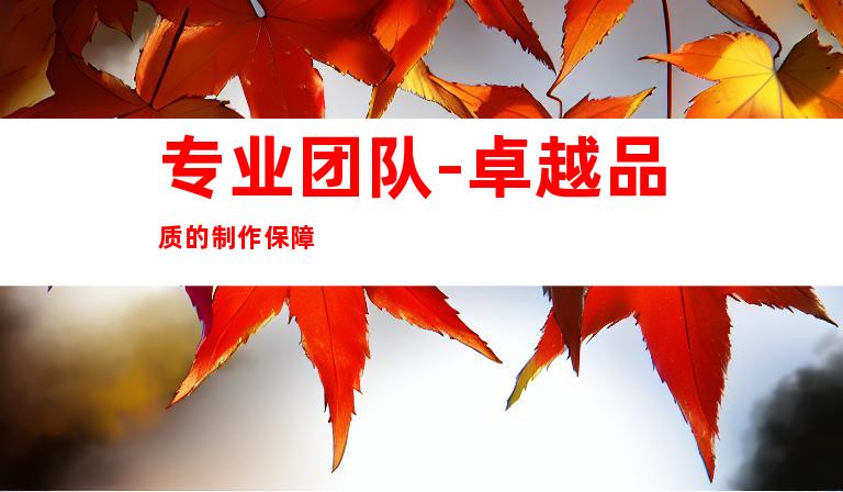 专业团队-卓越品质的制作保障
