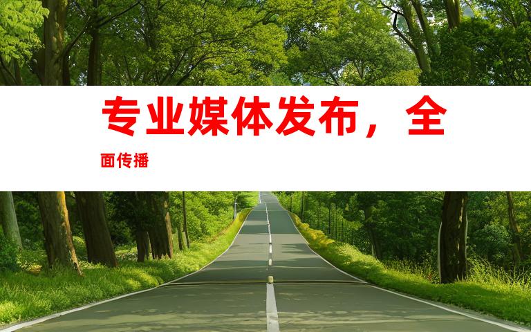 专业媒体发布，全面传播