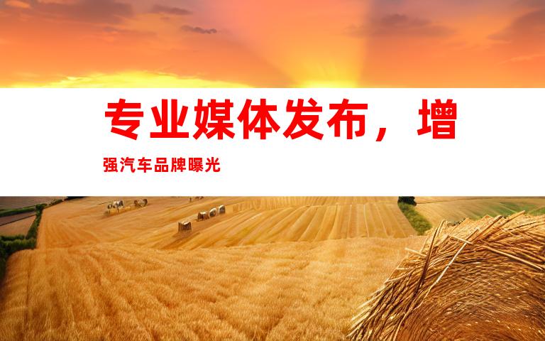专业媒体发布，增强汽车品牌曝光