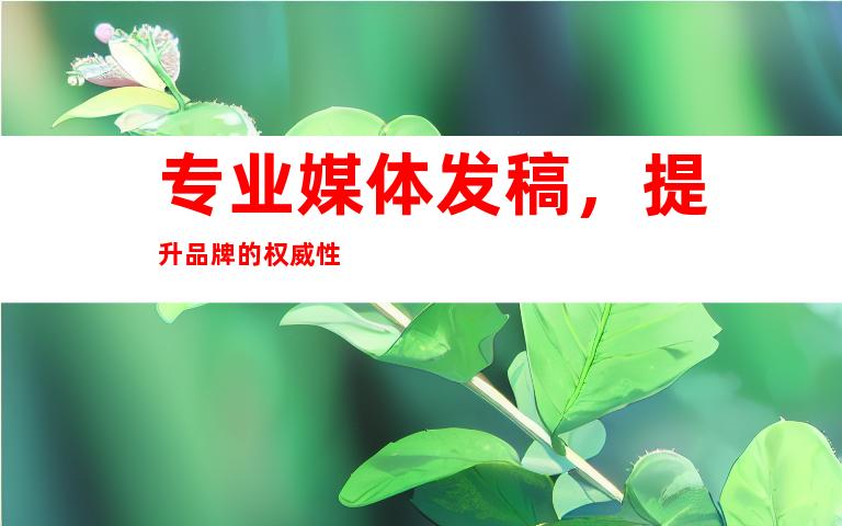 专业媒体发稿，提升品牌的权威性