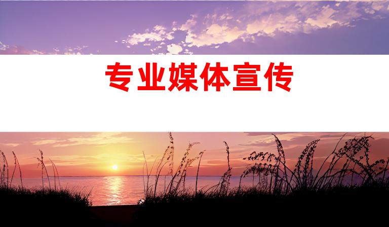 专业媒体宣传