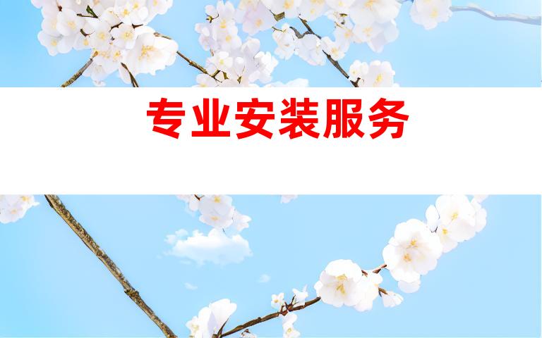 专业安装服务