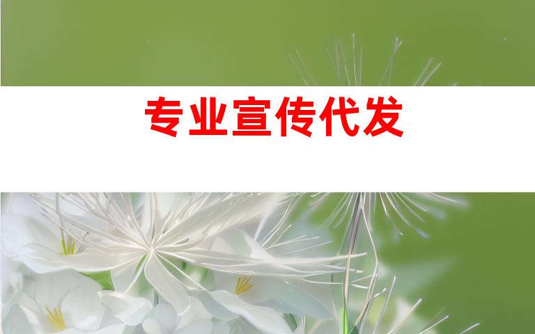 专业宣传代发