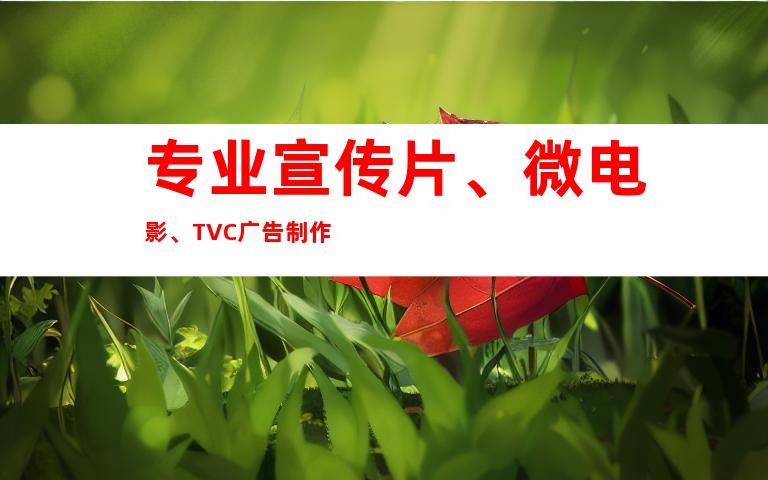 专业宣传片、微电影、TVC广告制作