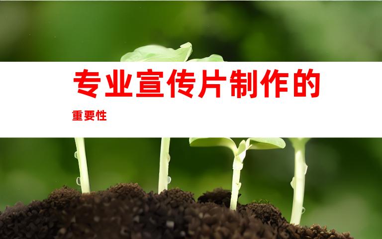 专业宣传片制作的重要性