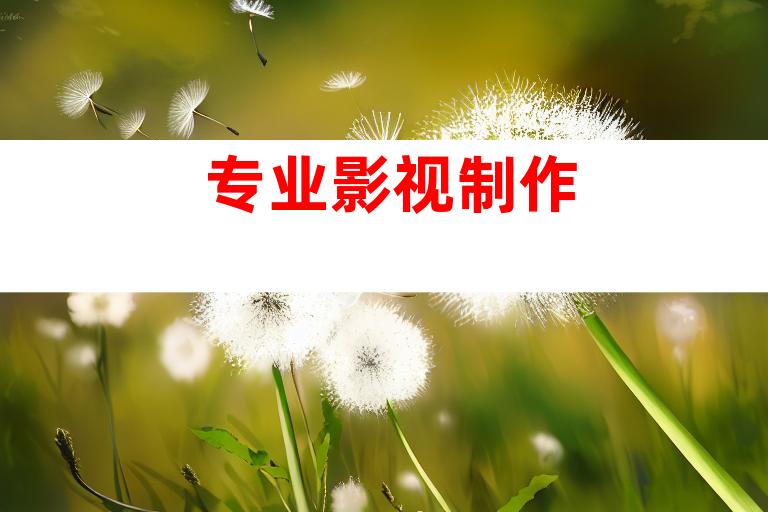 专业影视制作