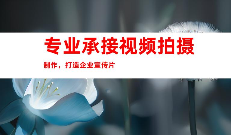 专业承接视频拍摄制作，打造企业宣传片