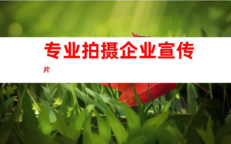 专业拍摄企业宣传片