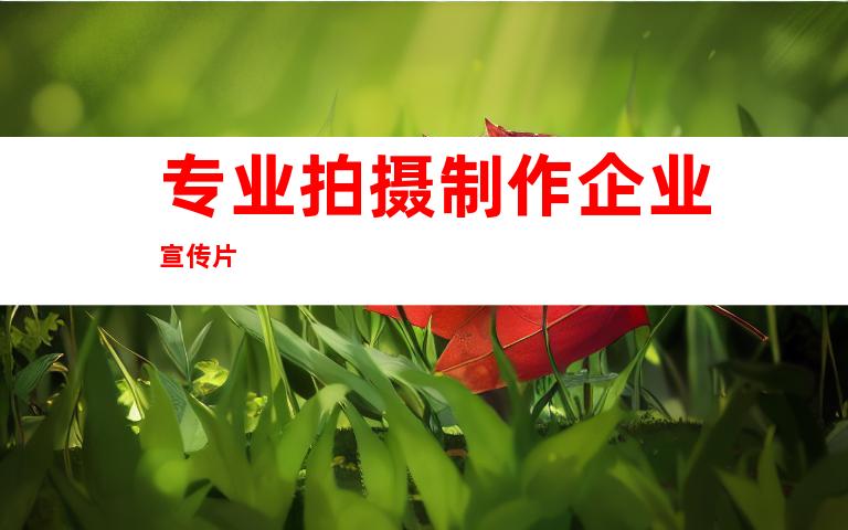 专业拍摄制作企业宣传片