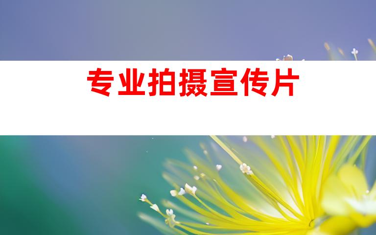 专业拍摄宣传片