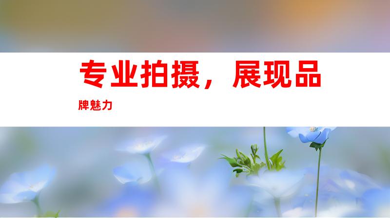 专业拍摄，展现品牌魅力