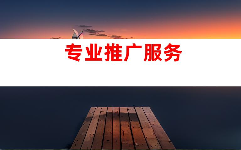 专业推广服务