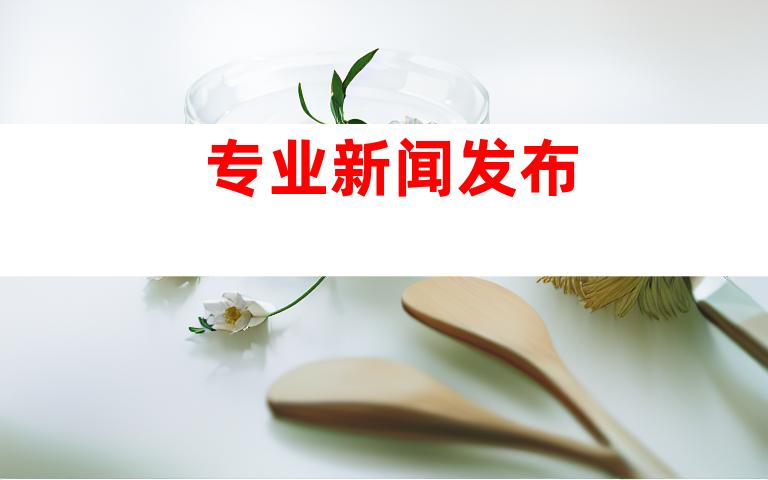 专业新闻发布