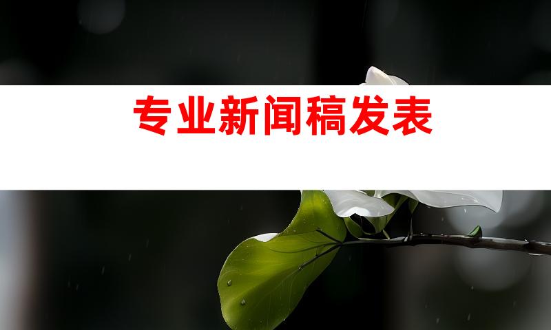 专业新闻稿发表
