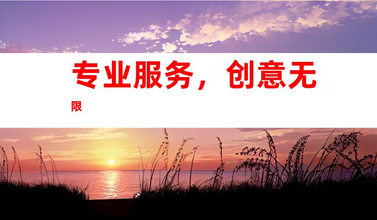 专业服务,创意无限