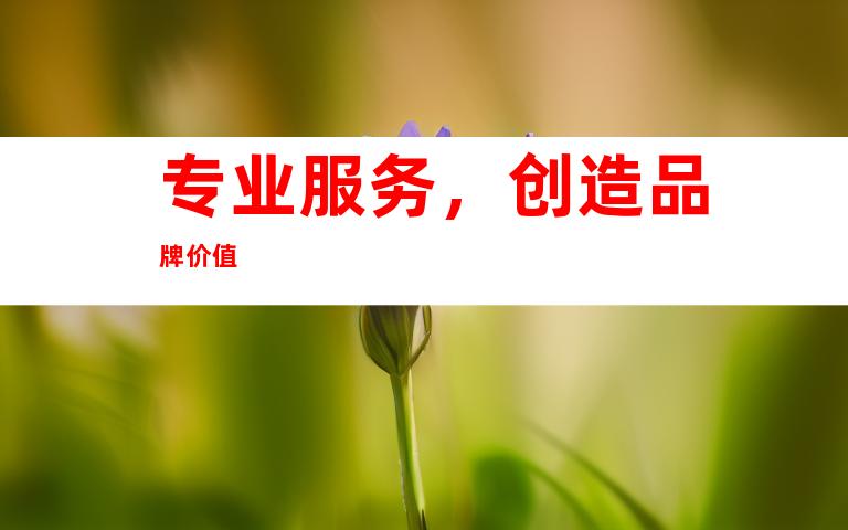 专业服务，创造品牌价值