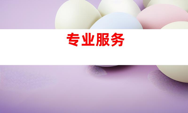 专业服务