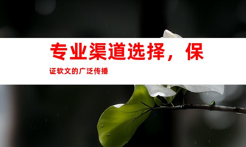 专业渠道选择，保证软文的广泛传播