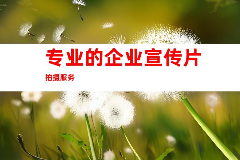专业的企业宣传片拍摄服务